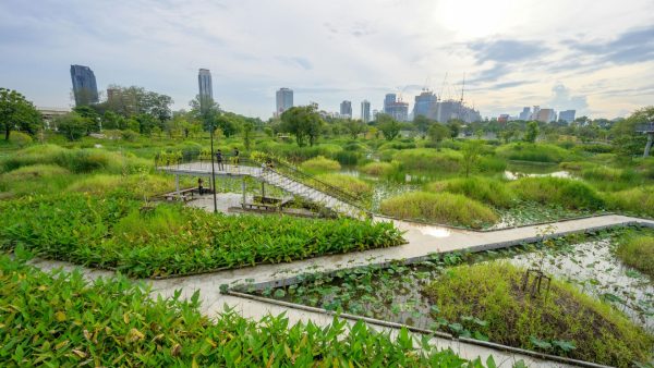 Benjakitti Forest Park